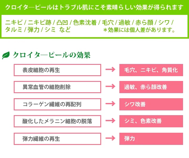 Cloeter果皮